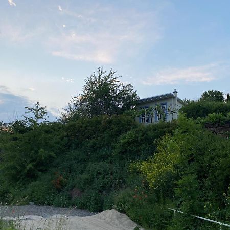 Weinbergshaus Mit Blick Auf'S Wasser Salzatal Zewnętrze zdjęcie