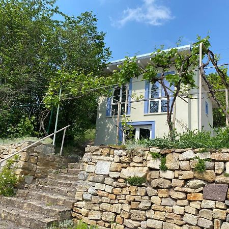 Weinbergshaus Mit Blick Auf'S Wasser Salzatal Zewnętrze zdjęcie