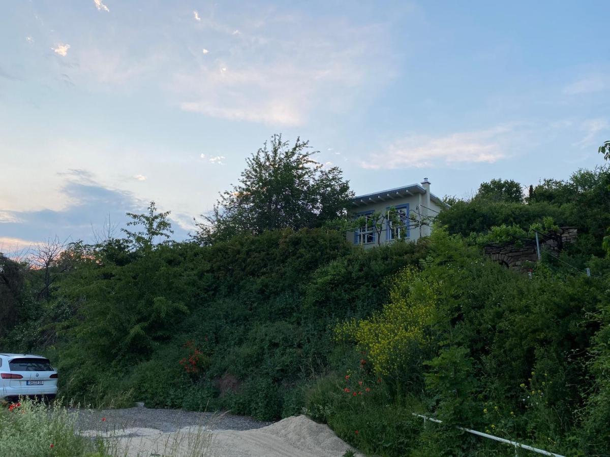 Weinbergshaus Mit Blick Auf'S Wasser Salzatal Zewnętrze zdjęcie