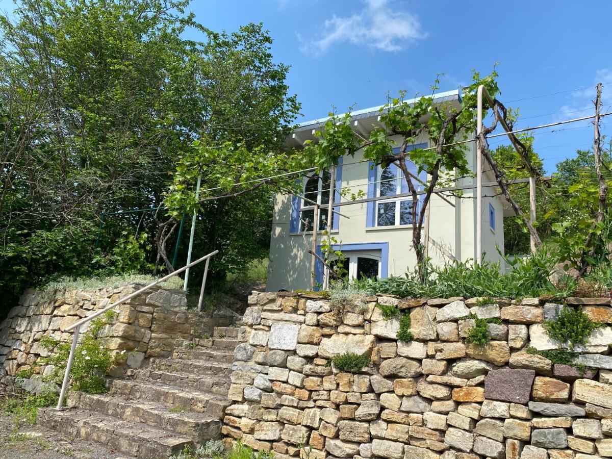 Weinbergshaus Mit Blick Auf'S Wasser Salzatal Zewnętrze zdjęcie